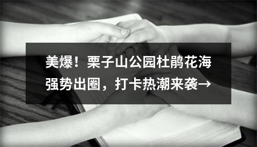 美爆！栗子山公园杜鹃花海强势出圈，打卡热潮来袭→