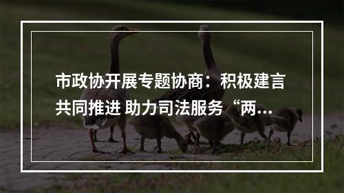市政协开展专题协商：积极建言 共同推进 助力司法服务“两个健康”