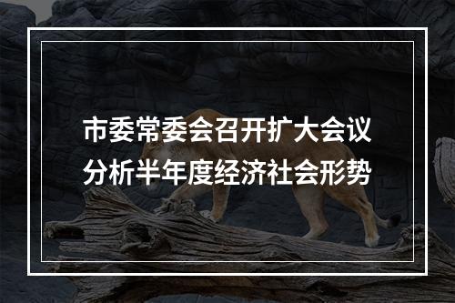 市委常委会召开扩大会议分析半年度经济社会形势