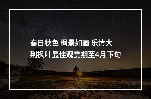 春日秋色 枫景如画 乐清大荆枫叶最佳观赏期至4月下旬