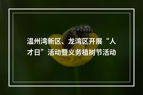 温州湾新区、龙湾区开展“人才日”活动暨义务植树节活动