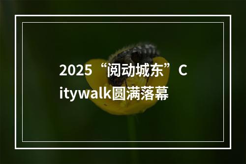 2025“阅动城东”Citywalk圆满落幕