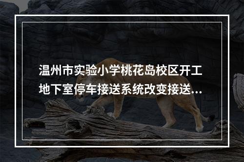 温州市实验小学桃花岛校区开工 地下室停车接送系统改变接送拥堵