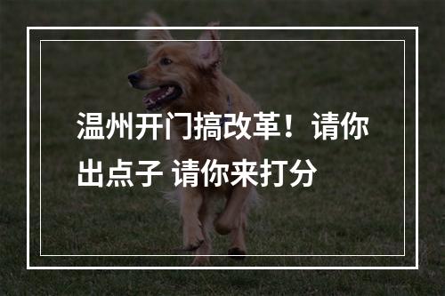 温州开门搞改革！请你出点子 请你来打分