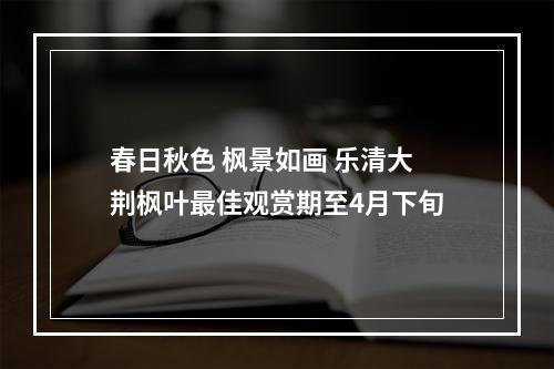 春日秋色 枫景如画 乐清大荆枫叶最佳观赏期至4月下旬