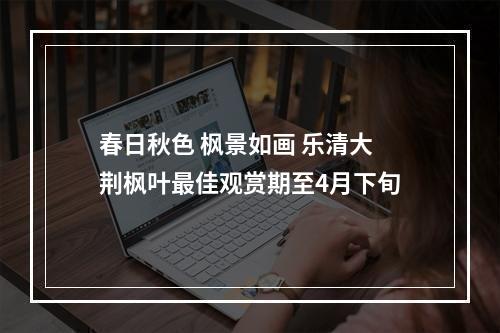 春日秋色 枫景如画 乐清大荆枫叶最佳观赏期至4月下旬