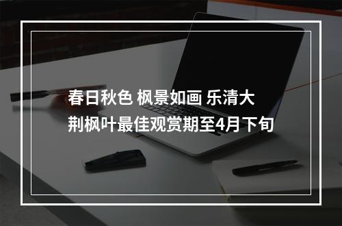 春日秋色 枫景如画 乐清大荆枫叶最佳观赏期至4月下旬