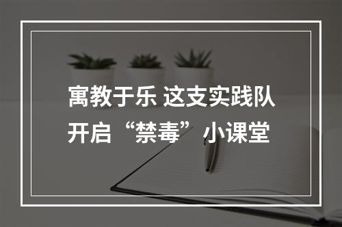 寓教于乐 这支实践队开启“禁毒”小课堂