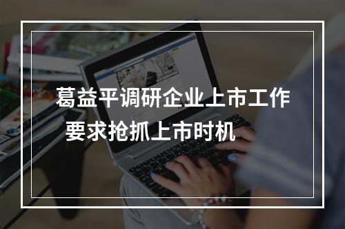 葛益平调研企业上市工作  要求抢抓上市时机