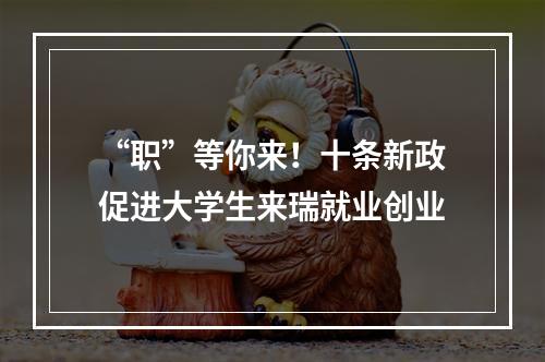 “职”等你来！十条新政促进大学生来瑞就业创业