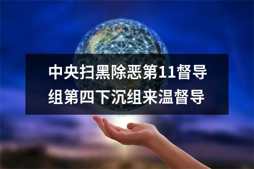 中央扫黑除恶第11督导组第四下沉组来温督导