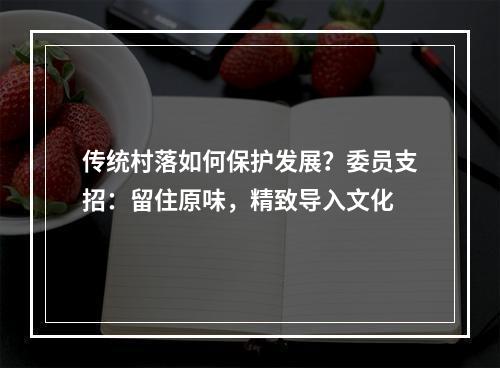 传统村落如何保护发展？委员支招：留住原味，精致导入文化