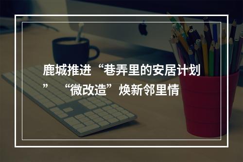 鹿城推进“巷弄里的安居计划” “微改造”焕新邻里情