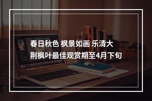 春日秋色 枫景如画 乐清大荆枫叶最佳观赏期至4月下旬