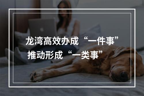 龙湾高效办成“一件事” 推动形成“一类事”