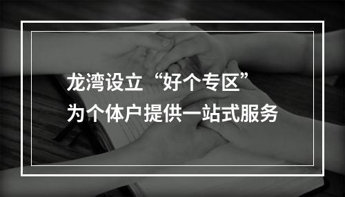 龙湾设立“好个专区”  为个体户提供一站式服务