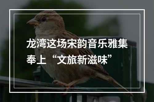 龙湾这场宋韵音乐雅集奉上“文旅新滋味”