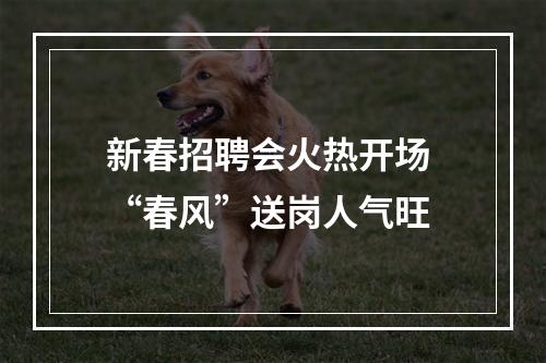 新春招聘会火热开场 “春风”送岗人气旺