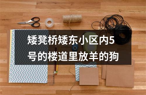 矮凳桥矮东小区内5号的楼道里放羊的狗