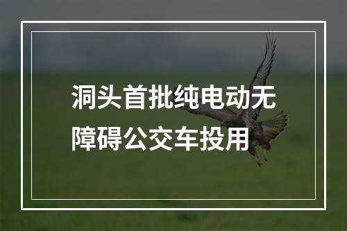 洞头首批纯电动无障碍公交车投用
