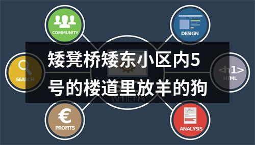 矮凳桥矮东小区内5号的楼道里放羊的狗