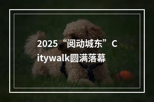 2025“阅动城东”Citywalk圆满落幕