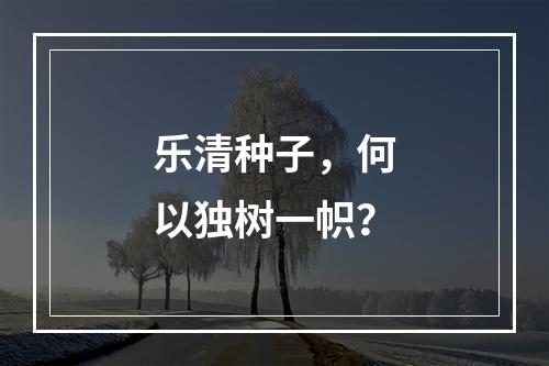 乐清种子，何以独树一帜？
