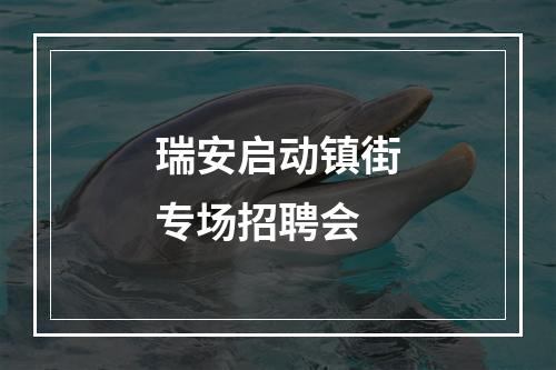 瑞安启动镇街专场招聘会