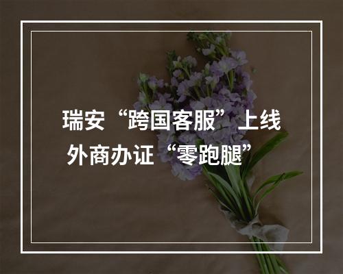 瑞安“跨国客服”上线 外商办证“零跑腿”