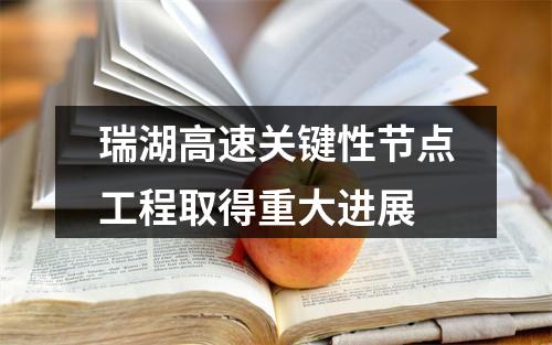 瑞湖高速关键性节点工程取得重大进展