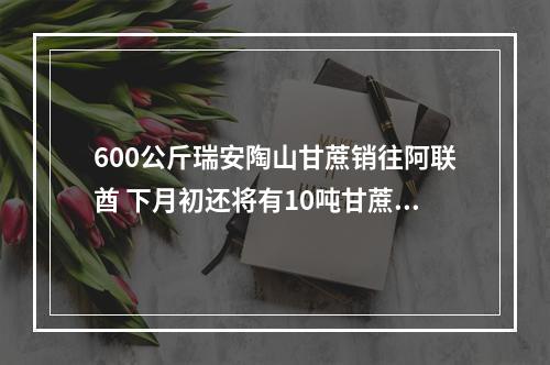 600公斤瑞安陶山甘蔗销往阿联酋 下月初还将有10吨甘蔗出口韩国