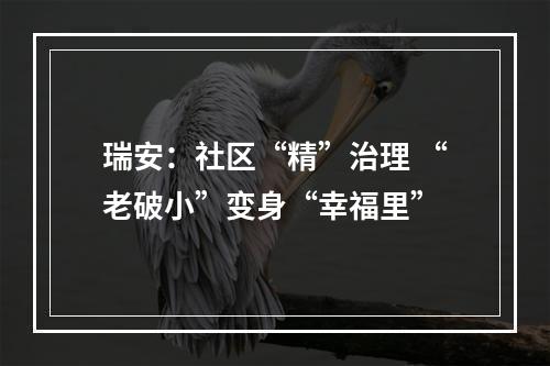 瑞安：社区“精”治理 “老破小”变身“幸福里”