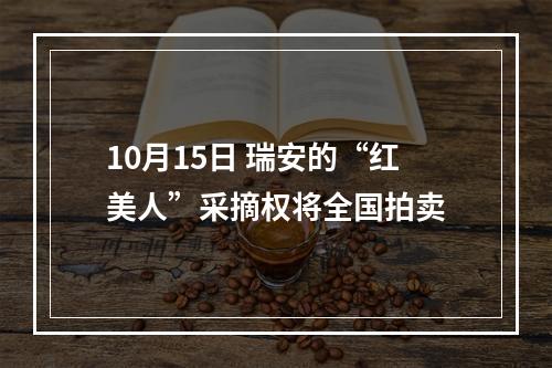 10月15日 瑞安的“红美人”采摘权将全国拍卖