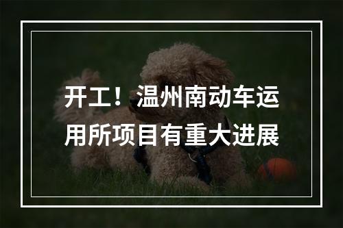 开工！温州南动车运用所项目有重大进展