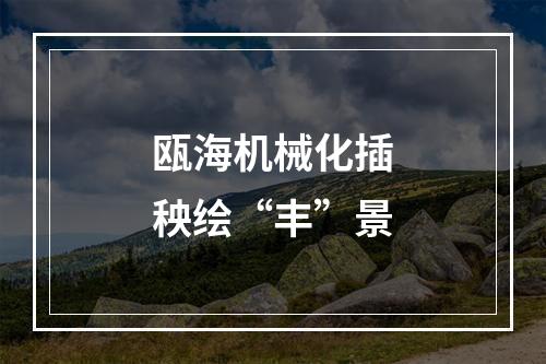 瓯海机械化插秧绘“丰”景
