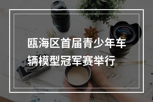 瓯海区首届青少年车辆模型冠军赛举行