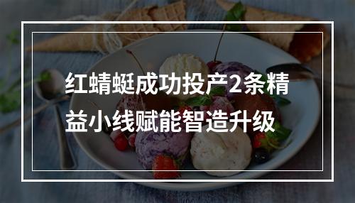 红蜻蜓成功投产2条精益小线赋能智造升级