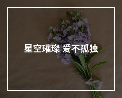 星空璀璨 爱不孤独