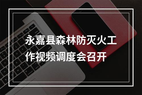 永嘉县森林防灭火工作视频调度会召开