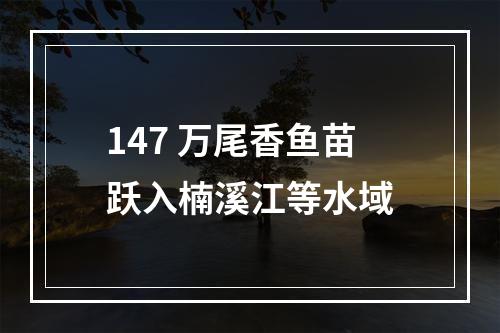 147 万尾香鱼苗跃入楠溪江等水域