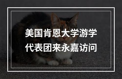 美国肯恩大学游学代表团来永嘉访问
