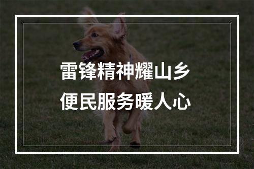 雷锋精神耀山乡 便民服务暖人心