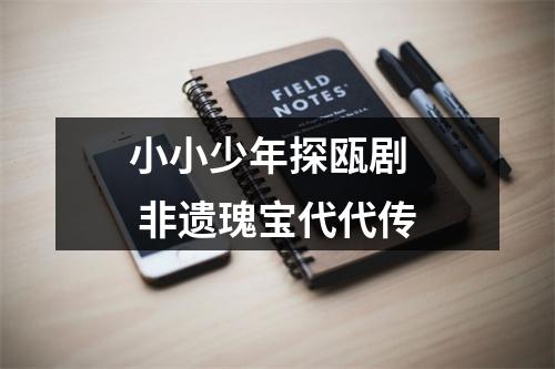 小小少年探瓯剧   非遗瑰宝代代传