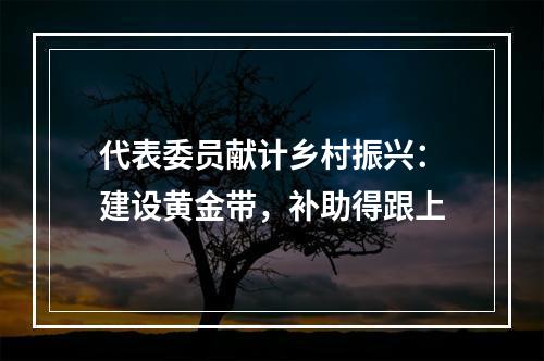 代表委员献计乡村振兴：建设黄金带，补助得跟上
