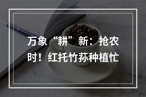 万象“耕”新：抢农时！红托竹荪种植忙