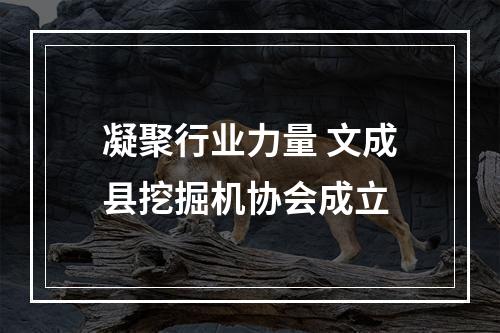 凝聚行业力量 文成县挖掘机协会成立