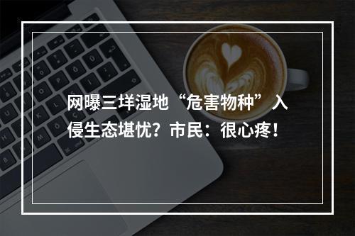 网曝三垟湿地“危害物种”入侵生态堪忧？市民：很心疼！