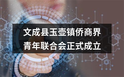 文成县玉壶镇侨商界青年联合会正式成立
