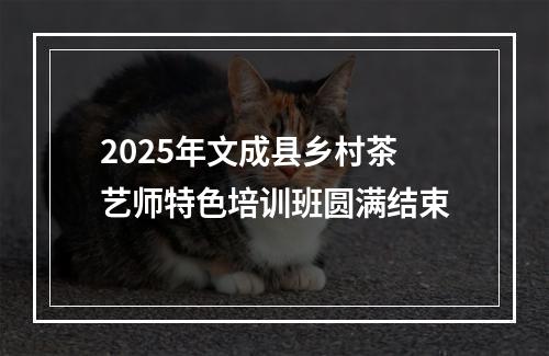 2025年文成县乡村茶艺师特色培训班圆满结束