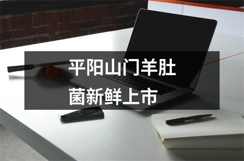 平阳山门羊肚菌新鲜上市